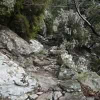 Photo de france - La randonnée du Mont Caroux